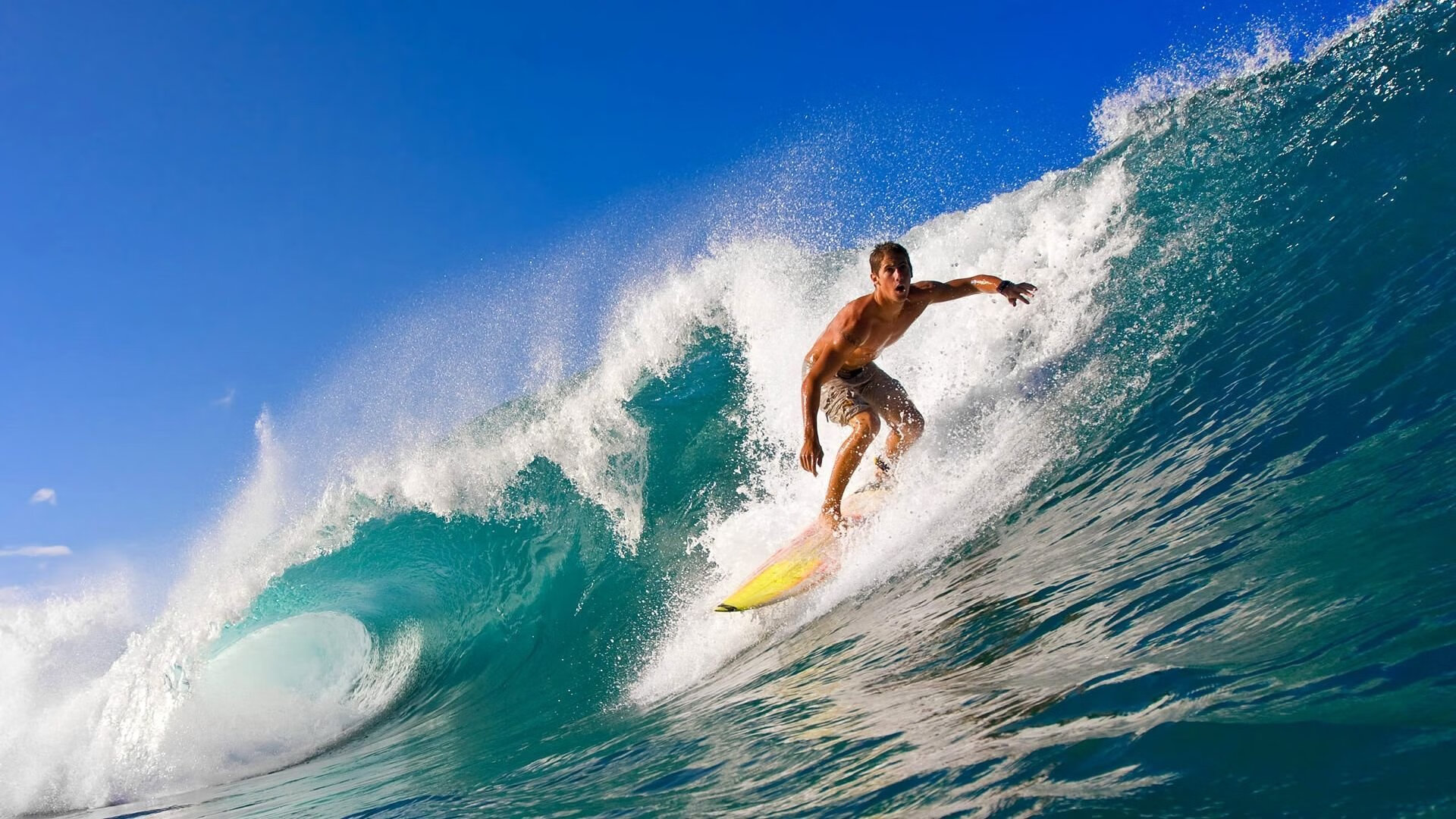 西班牙马术协会与中国马术协会签署合作协议，共同推动马术文化交流。